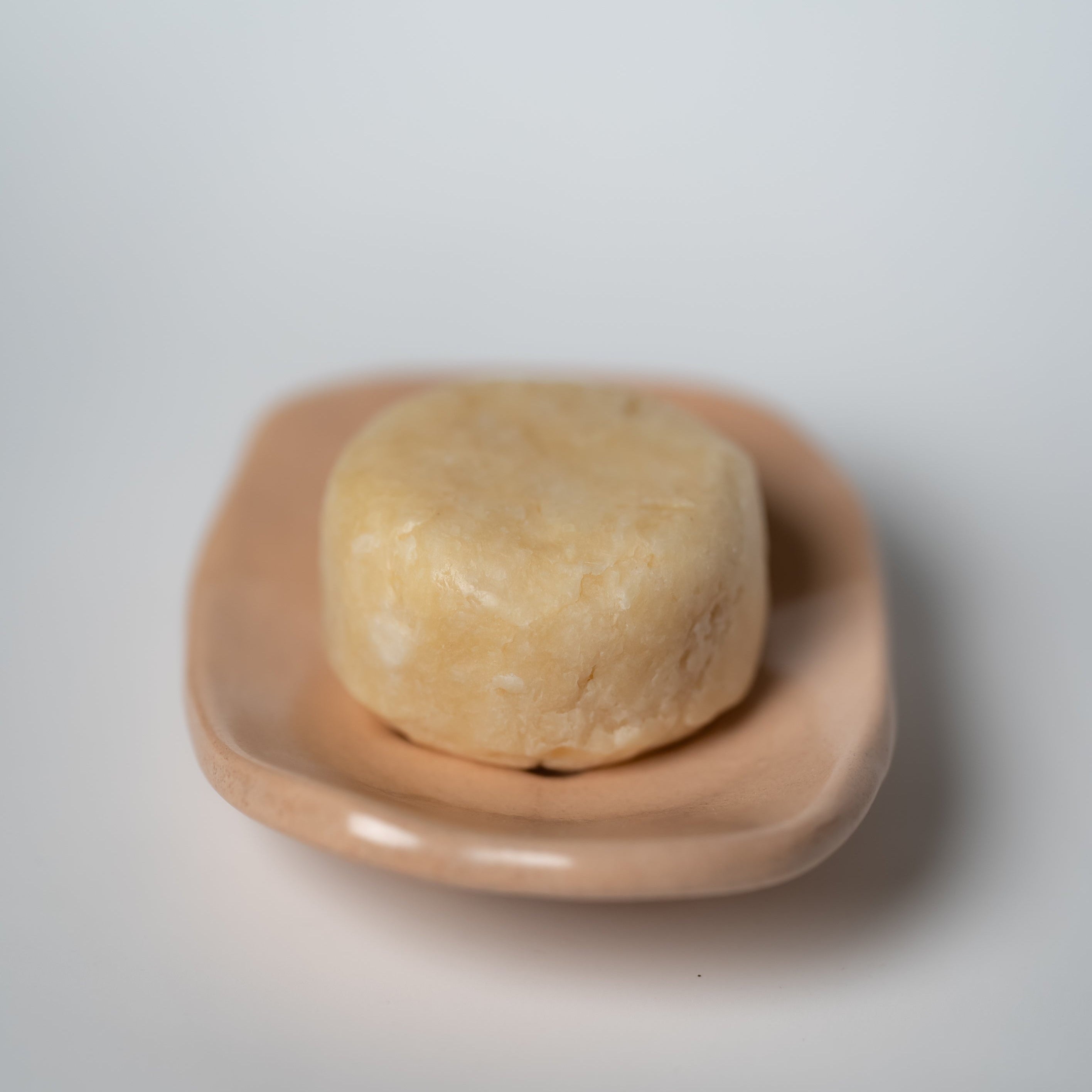 Katı Şampuan - Temel Bakım